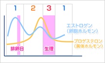 原因②:偏（片）頭痛の原因