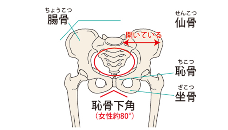 ①骨盤や股関節、足首や足先から受けるダメージ