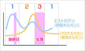 原因①:骨盤や腰椎の状態が悪い