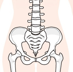 原因③：骨盤や腰椎の不調がある