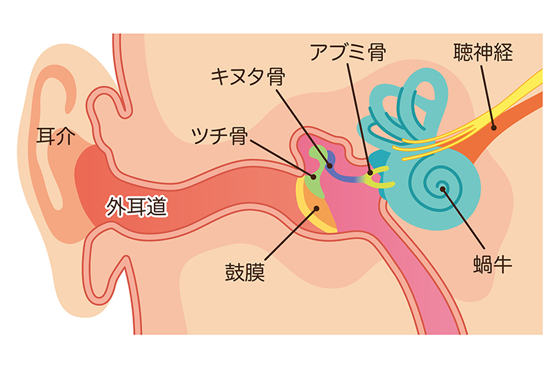 原因①:耳鳴り＝耳の中の問題